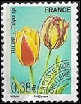 Tulipe 0.38â¬
